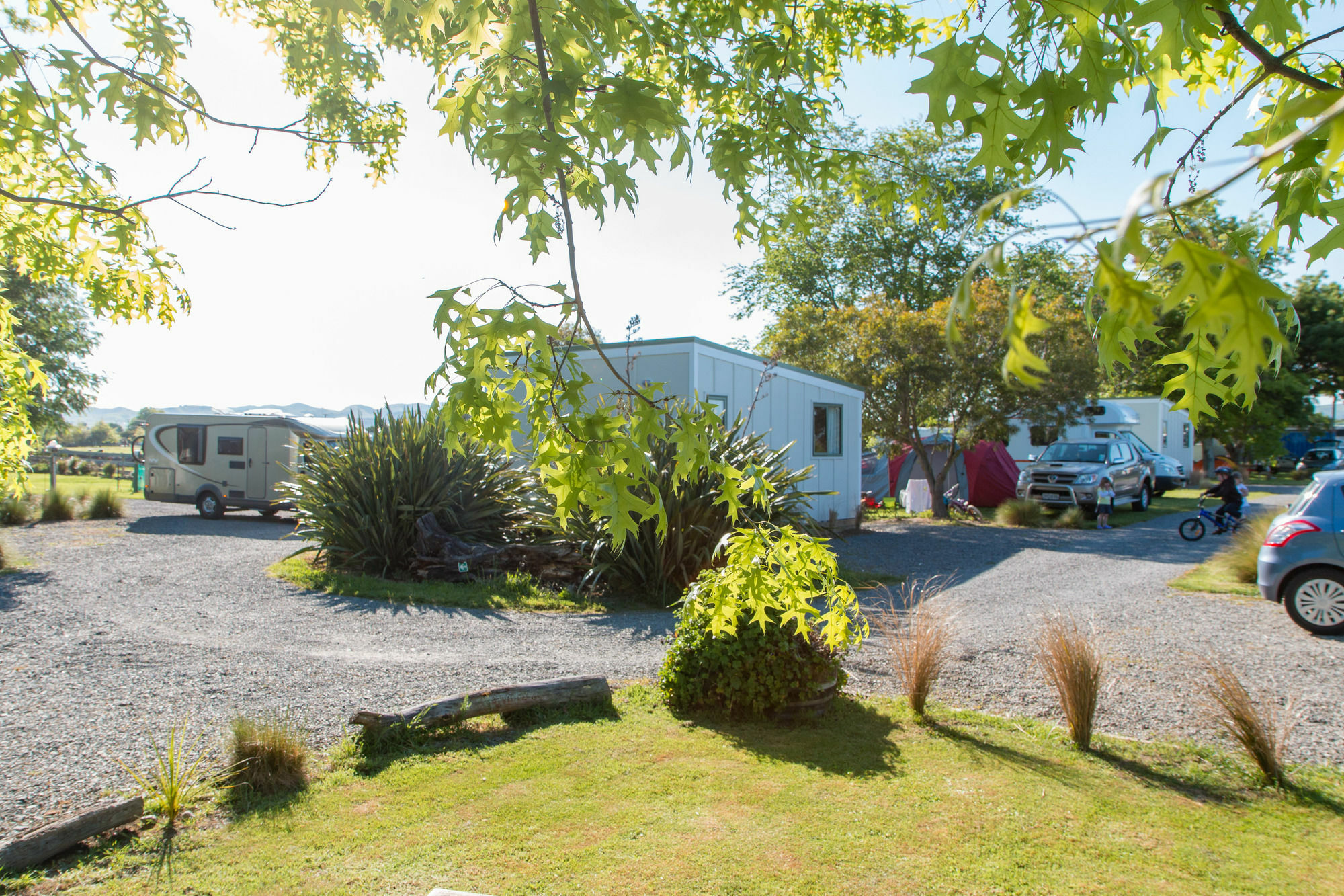 Martinborough Top 10 Holiday Park Εξωτερικό φωτογραφία